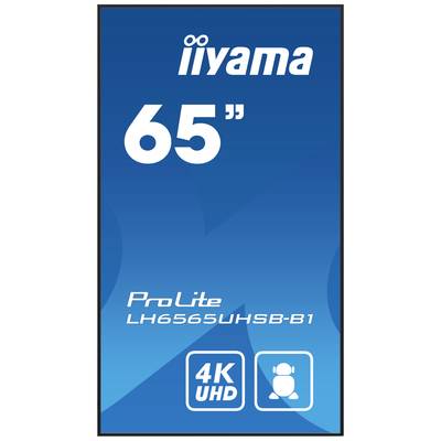 Ein blauer Bildschirm zeigt die Marke 'iiyama', die Größe '65"', das Modell 'ProLite LH6565UHSB-B1' und die Spezifikation '4K UHD'.