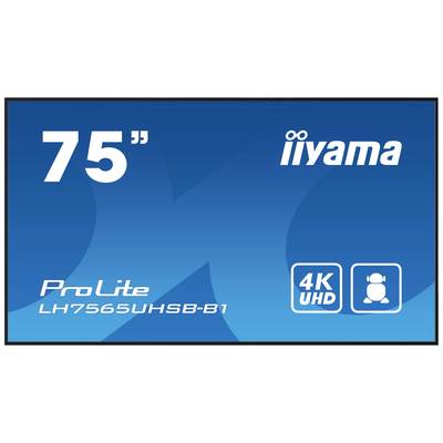 75-Zoll-Monitor von iiyama mit 4K-UHD-Auflösung, Modell ProLite LH7565UHSB-B1, auf blauem Hintergrund.