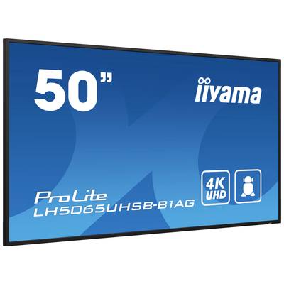 Ein blaues Display zeigt 'iiyama ProLite LH5065UHSB-B1AG', eine 50 Zoll 4K UHD Anzeige.