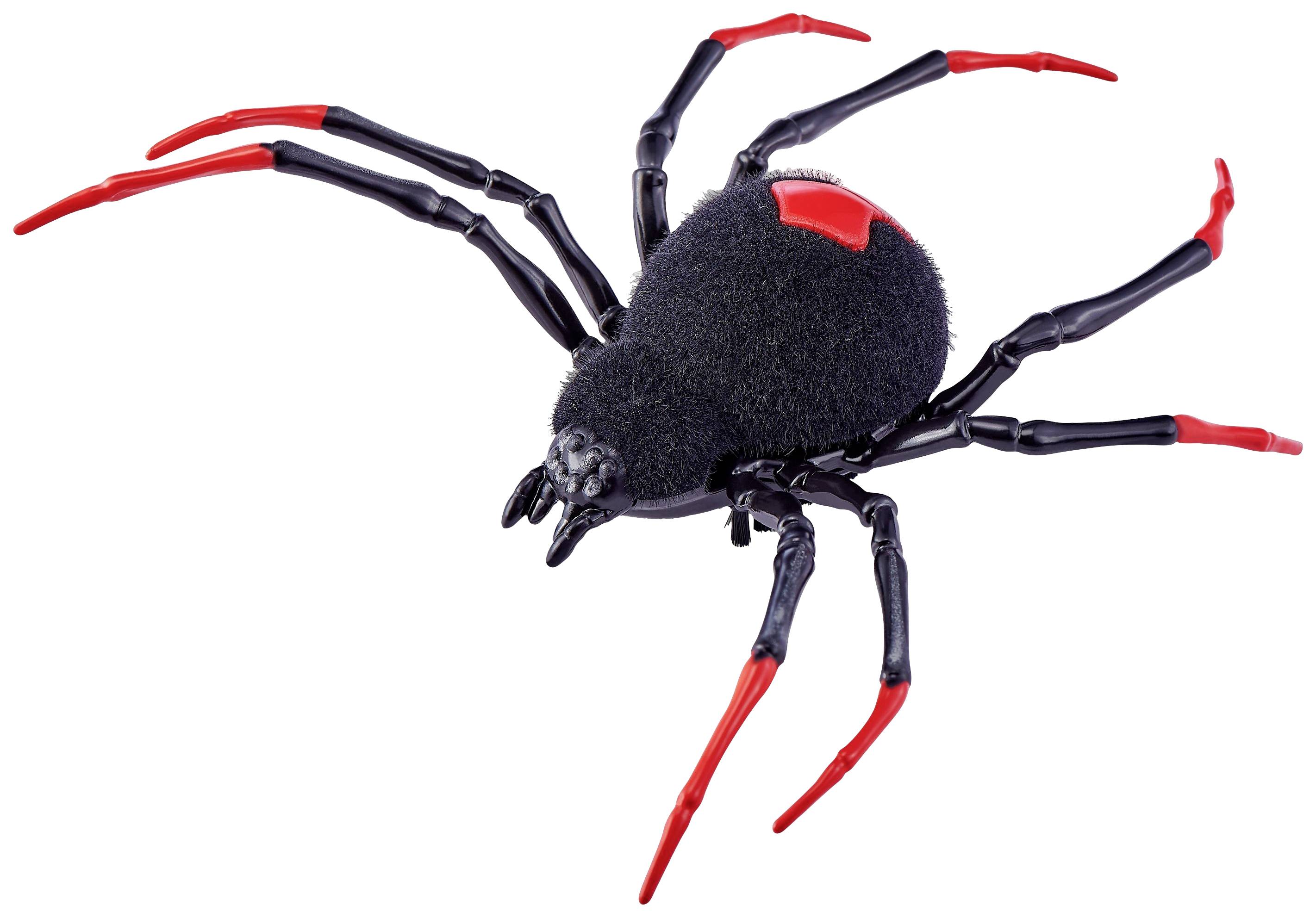 Eine schwarze plastische Spinne mit roten Beinen und einem roten Fleck auf dem Rücken, zeigt ein realistisch nachgebildetes Spielzeug.