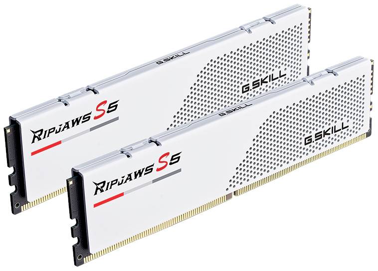 Zwei G.Skill Ripjaws S5 RAM-Speichermodule mit silbernem Gehäuse und schwarzem Punktdesign, geeignet für Computer-Upgrades.