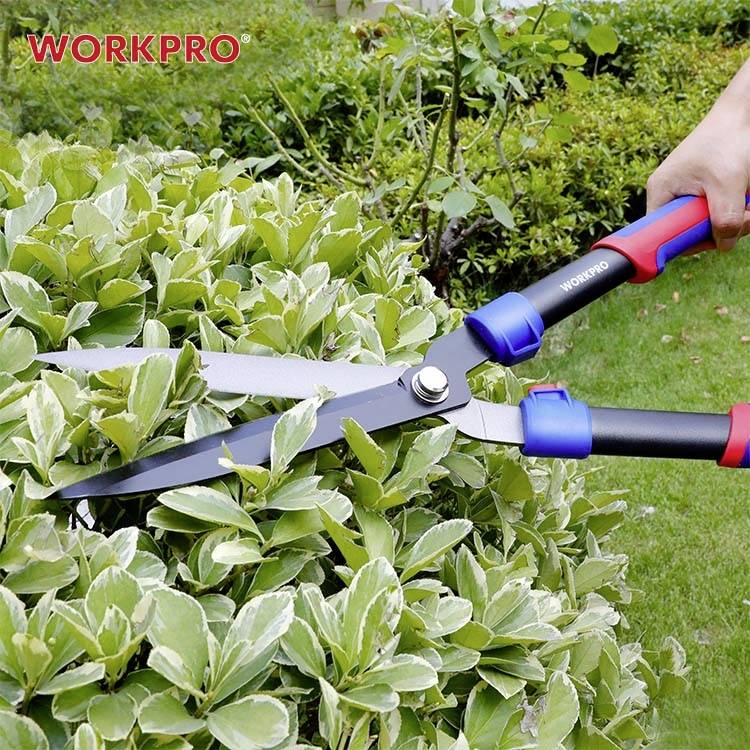 Eine Hand schneidet mit einer schwarzen und blauen Heckenschere eine grüne Hecke. Oben links ist 'WORKPRO' in Rot zu sehen.