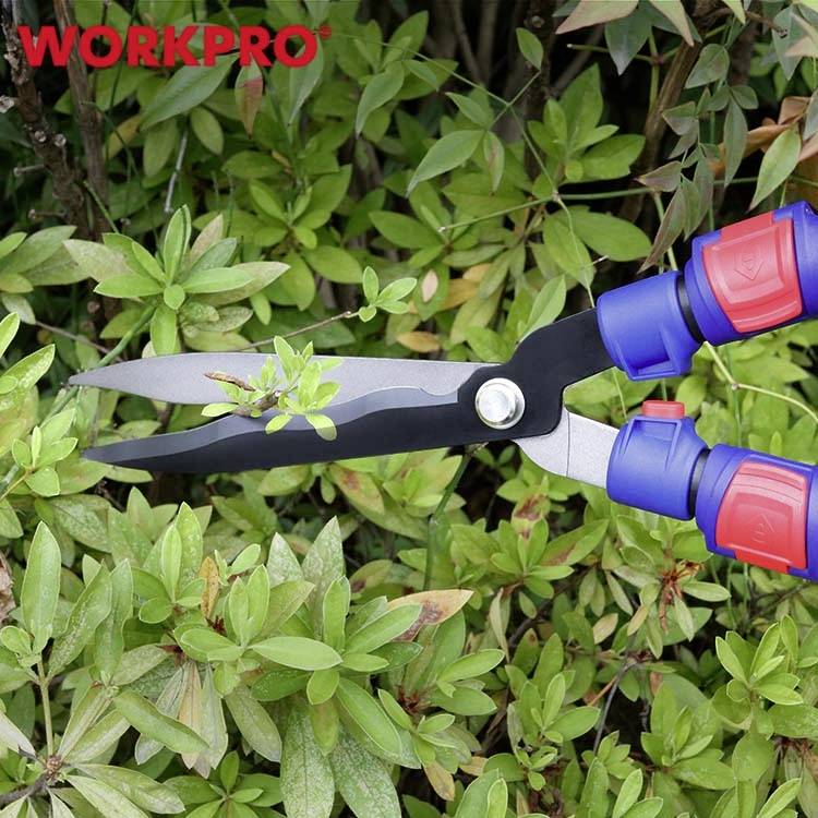 Schere schneidet grünen Strauch im Garten. Rote und blaue Griffe. Markenname 'WORKPRO' oben links im Bild.