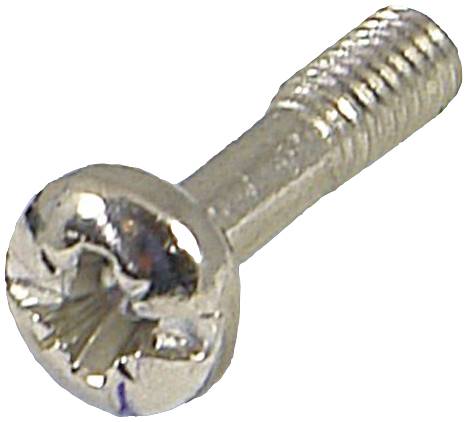 Schraube mit Kreuzschlitzkopf und Metallgewinde, geeignet für mechanische Verbindungen.