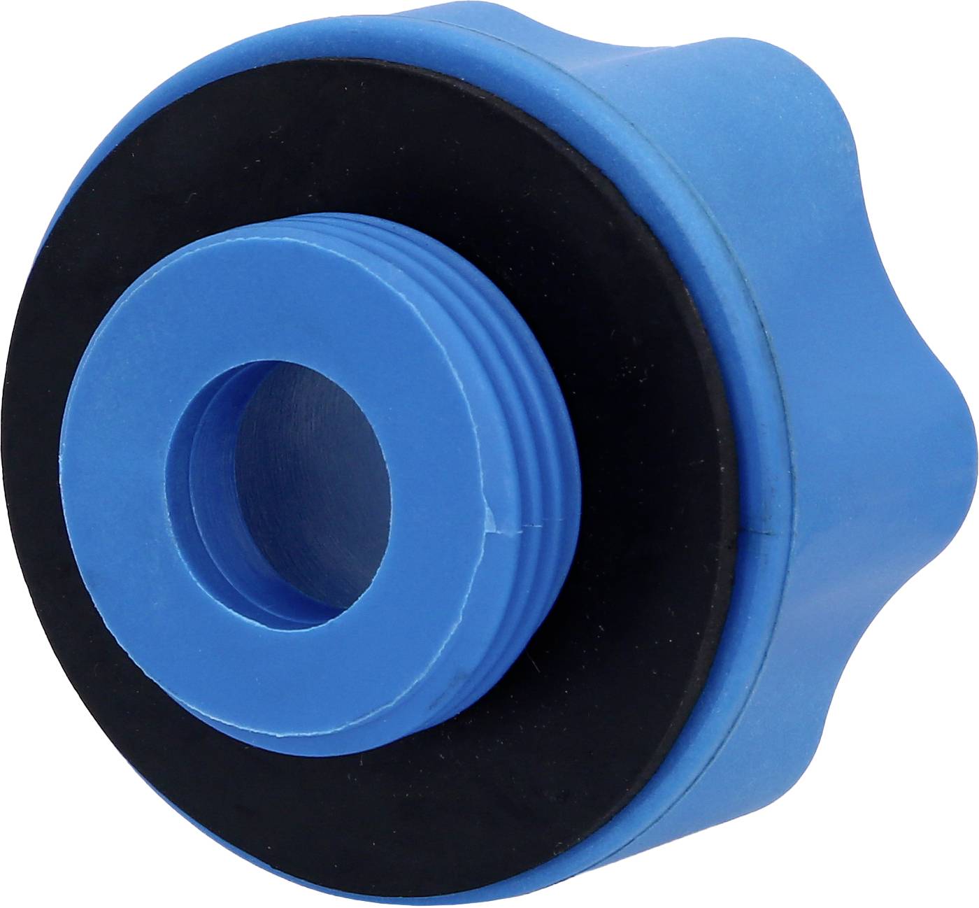 Blauer, runder Plastikschraubverschluss mit schwarzem Dichtungsring. Geeignet für Behälter oder Geräte mit passendem Anschluss.