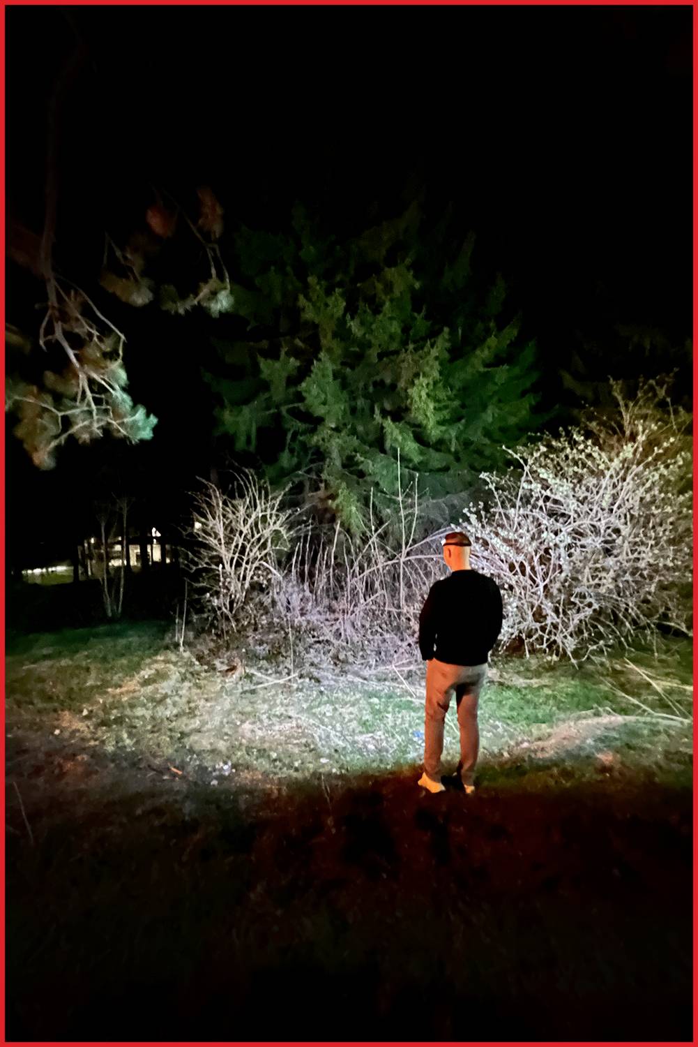 Eine Person steht nachts im Freien, von einem warmen, künstlichen Licht beleuchtet, mit einem dichten Wald im Hintergrund.