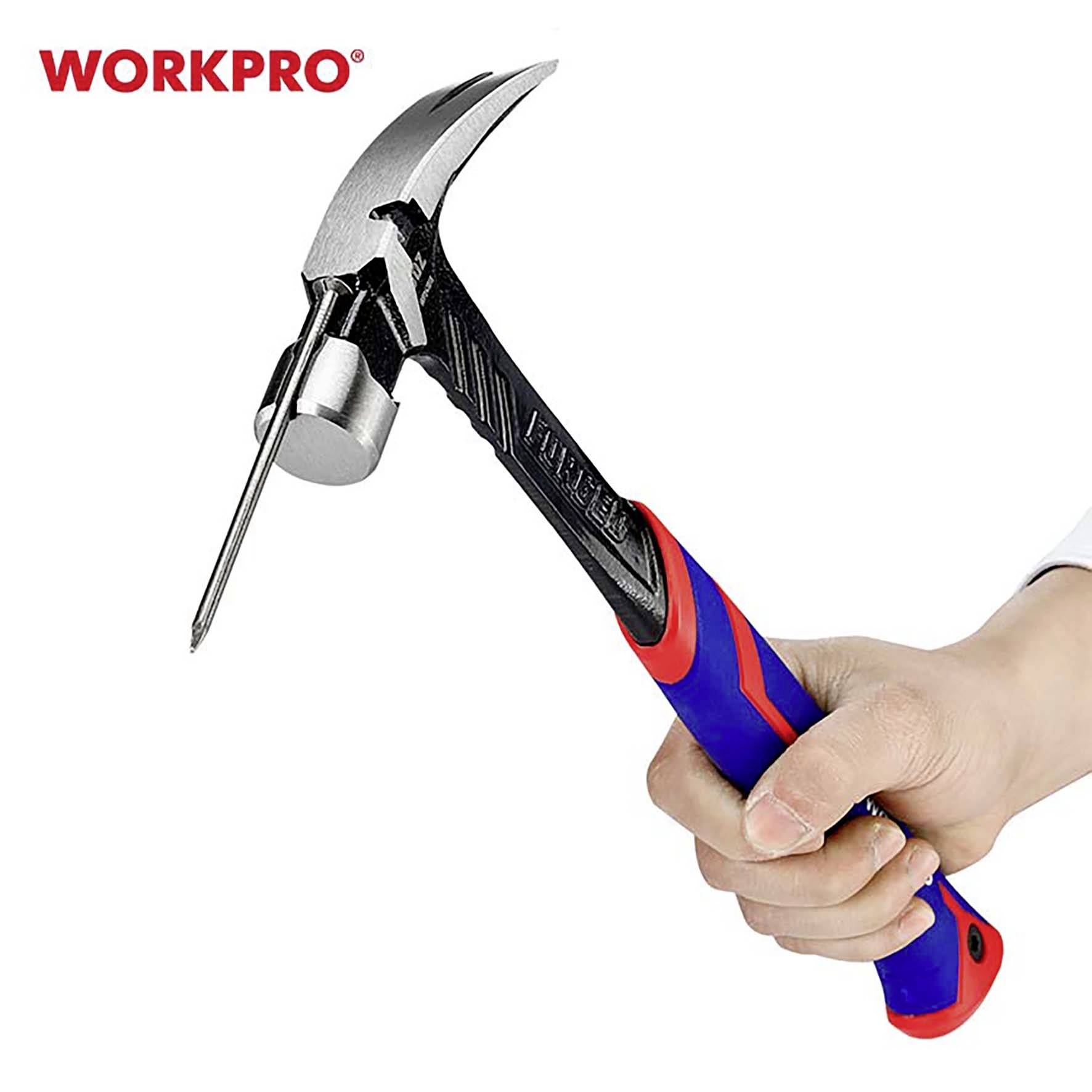 Ein Hammer mit blau-rotem Griff und gebogener Klaue, dargestellt mit einem Nagel in der Klaue. Oben links steht 'WORKPRO'.