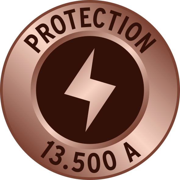 Abzeichen in Bronze mit Blitzsymbol in der Mitte. Oben steht 'PROTECTION', unten '13.500 A'.