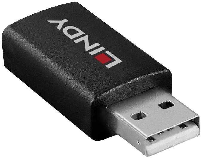 Ein schwarzer USB-Stick mit der Aufschrift 'LINDY' in weißen Buchstaben und einem roten Quadrat auf dem Gehäuse.
