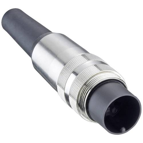 Lumberg SV 50/6 C Stecker Gesamtpolzahl: 5 1 St.