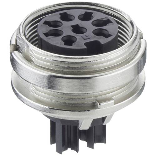 Lumberg KGV 30 C Kupplung Kupplung, Einbau Gesamtpolzahl: 3 1 St.