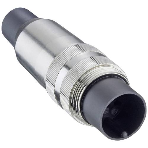 Lumberg SV 50/6-8 C Stecker Gesamtpolzahl: 5 1 St.