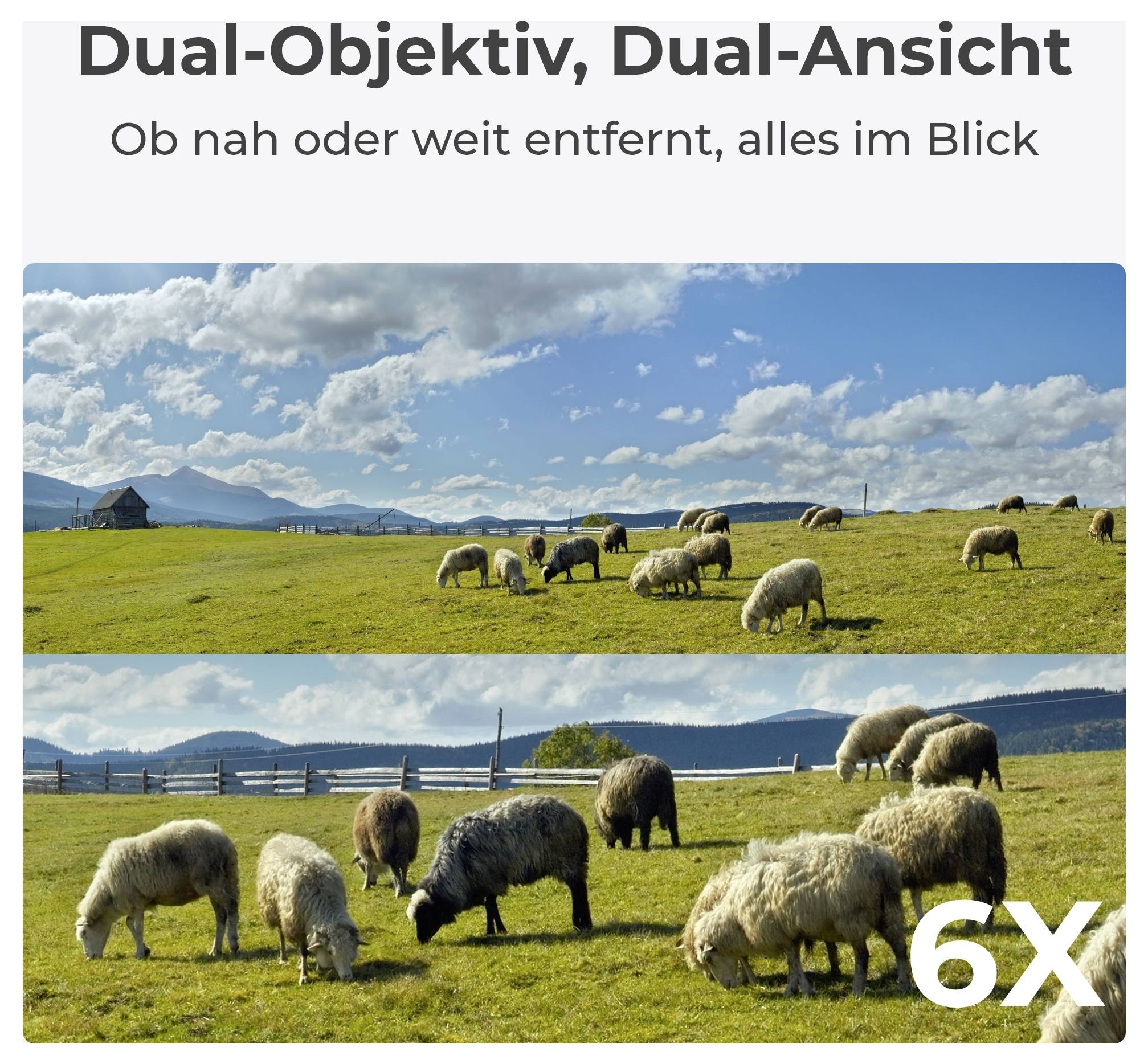 Schafherde auf einer weitläufigen grünen Wiese unter einem teilweise bewölkten Himmel, mit zwei Kamera-Perspektiven dargestellt. Text auf Deutsch wirbt für Doppellinsen.