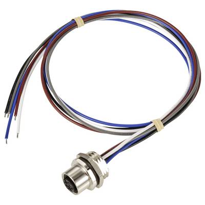 Runder elektronischer Stecker mit mehreren bunten Kabeln. Der Stecker hat ein Metallgewinde am Ende für die Befestigung.