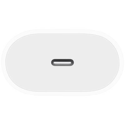 Eine Nahaufnahme eines ovalen USB-C-Anschlusses auf einem weißen Hintergrund.
