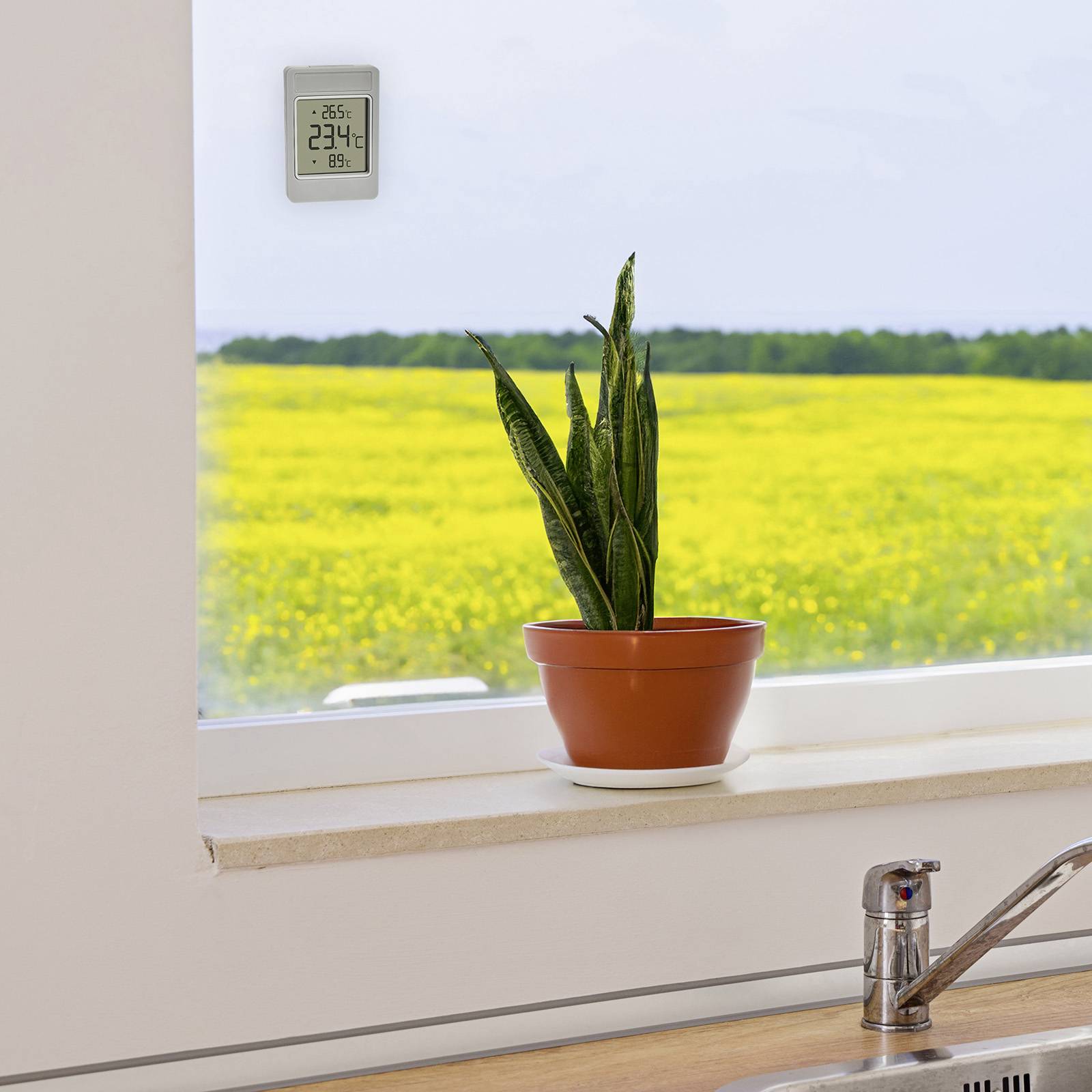 Eine Pflanze in einem Topf steht auf einer Fensterbank, hinter der ein blühendes Rapsfeld zu sehen ist. Oben links ein Thermometer zeigt 26,5°C an.