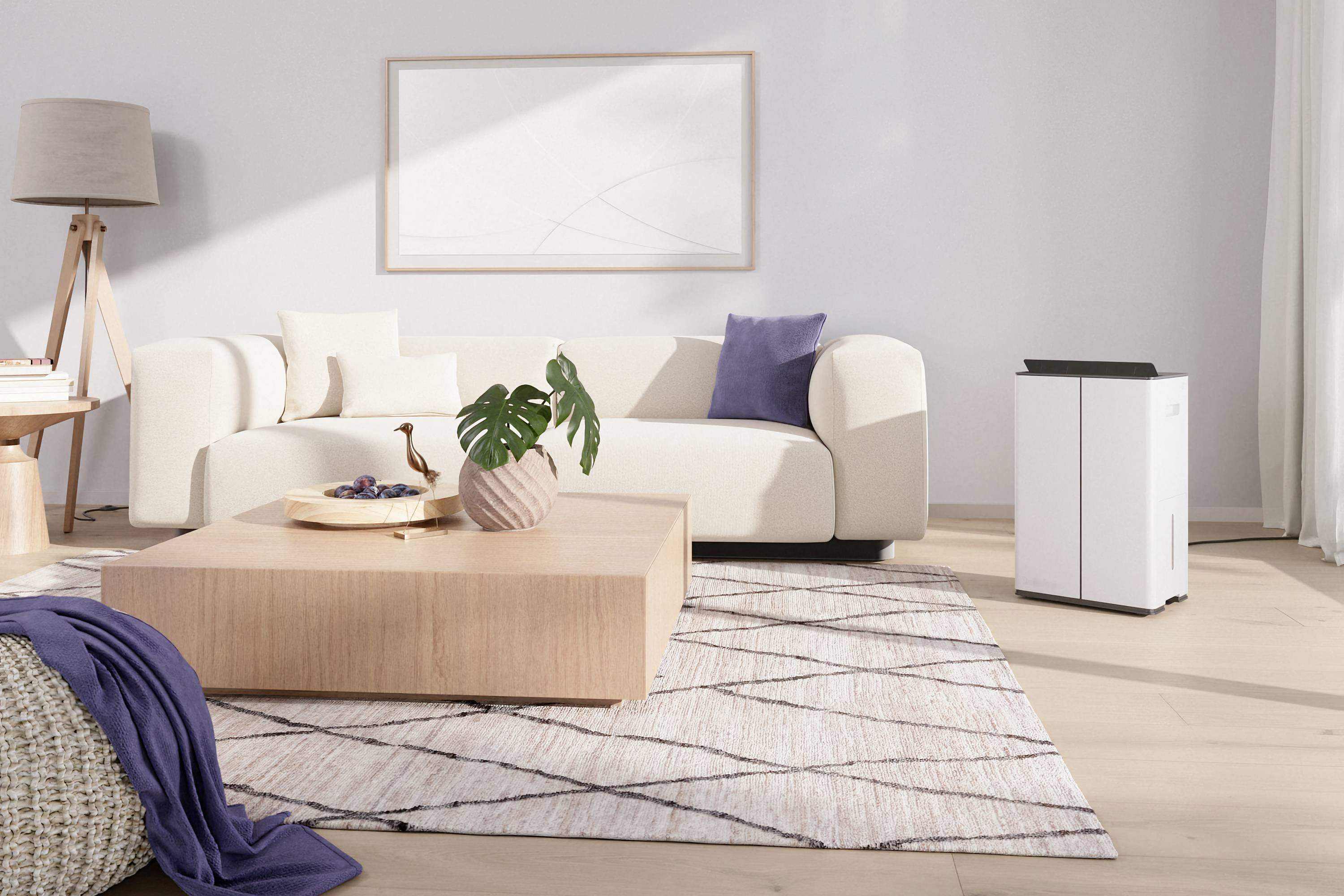 Stadler Form Lukas Luftentfeuchter 70 m² 0.83 l/h Weiß-11