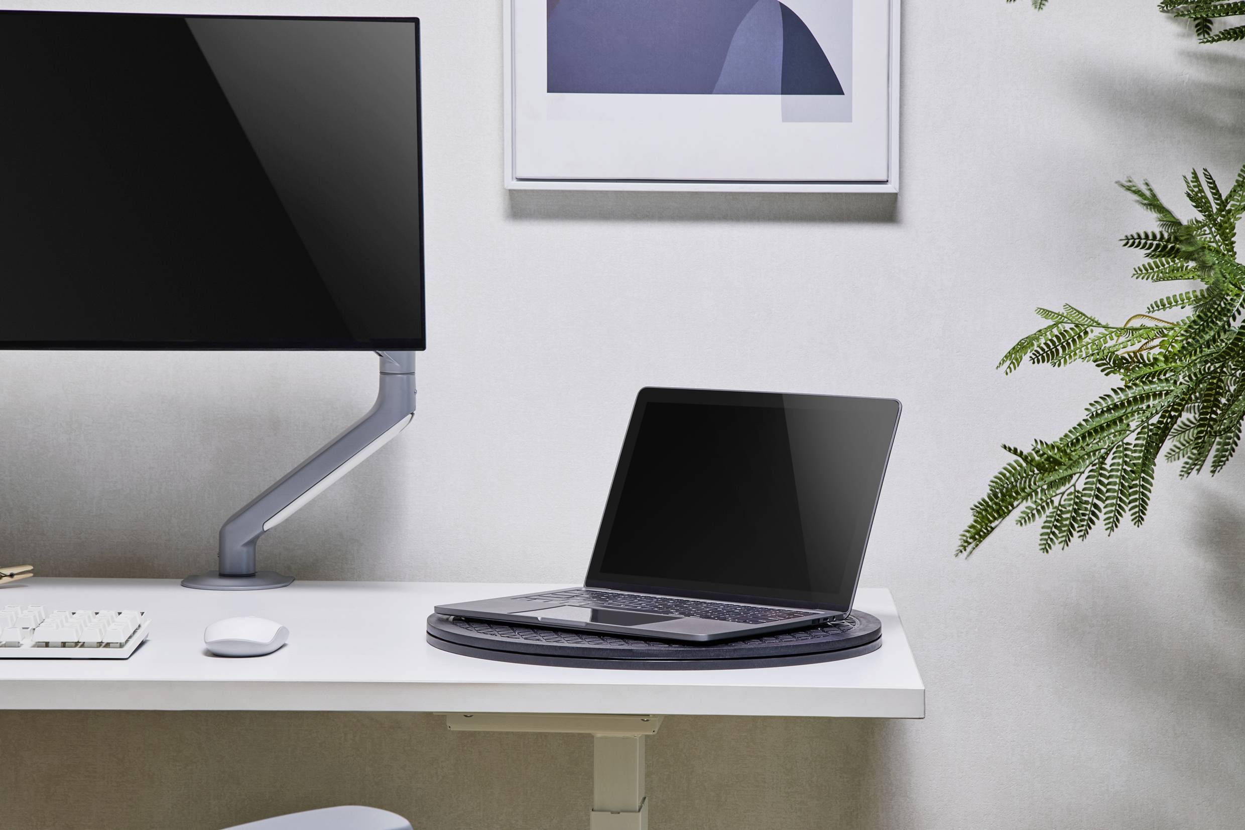 Ein Schreibtisch mit einem Laptop und einem Monitor an einem ergonomischen Arm. Daneben eine Pflanze. Moderne Büroeinrichtung.