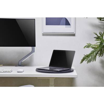 Ein Schreibtisch mit einem Laptop und einem Monitor an einem ergonomischen Arm. Daneben eine Pflanze. Moderne Büroeinrichtung.