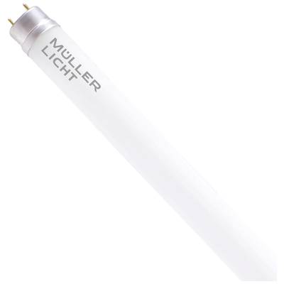 LED-Leuchtstoffröhre mit der Aufschrift 'Müller Licht'. Weiße, zylindrische Form mit metallischen Enden für den Einsatz in Beleuchtungseinrichtungen.