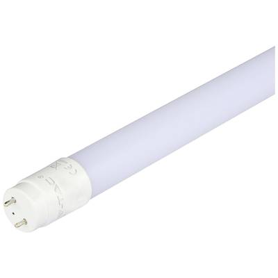 Weiße LED-Röhre mit zwei Metallstiften an einem Ende, geeignet für die Beleuchtung von Räumen; energiesparend und langlebig.