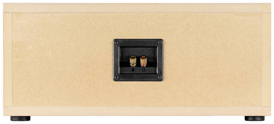 Holzboxrückseite mit einem schwarzen Anschlussfeld in der Mitte, das zwei farbcodierte Buchsen zeigt, rot und schwarz.