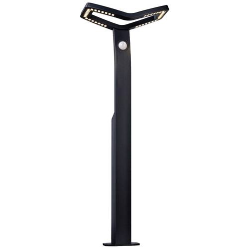 Paulmann 94796 Alara LED-Pollerleuchte LED 10 W Anthrazit