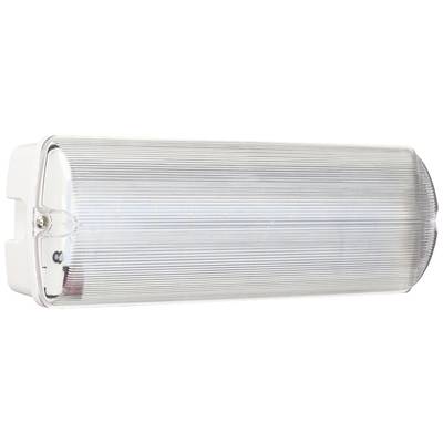 Kompakte, rechteckige LED-Wandleuchte mit geriffeltem durchsichtigen Abdeckungsdesign, montiert auf einer weißen Basis.