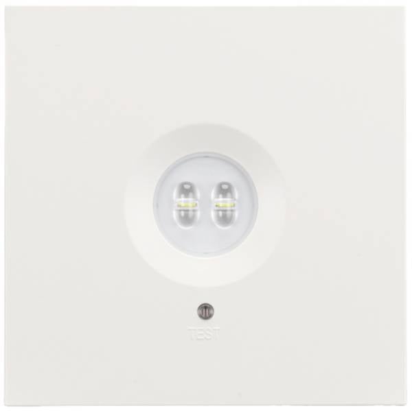 H1 Solutions 1045 Sicherheitsleuchte Deckenaufbaumontage