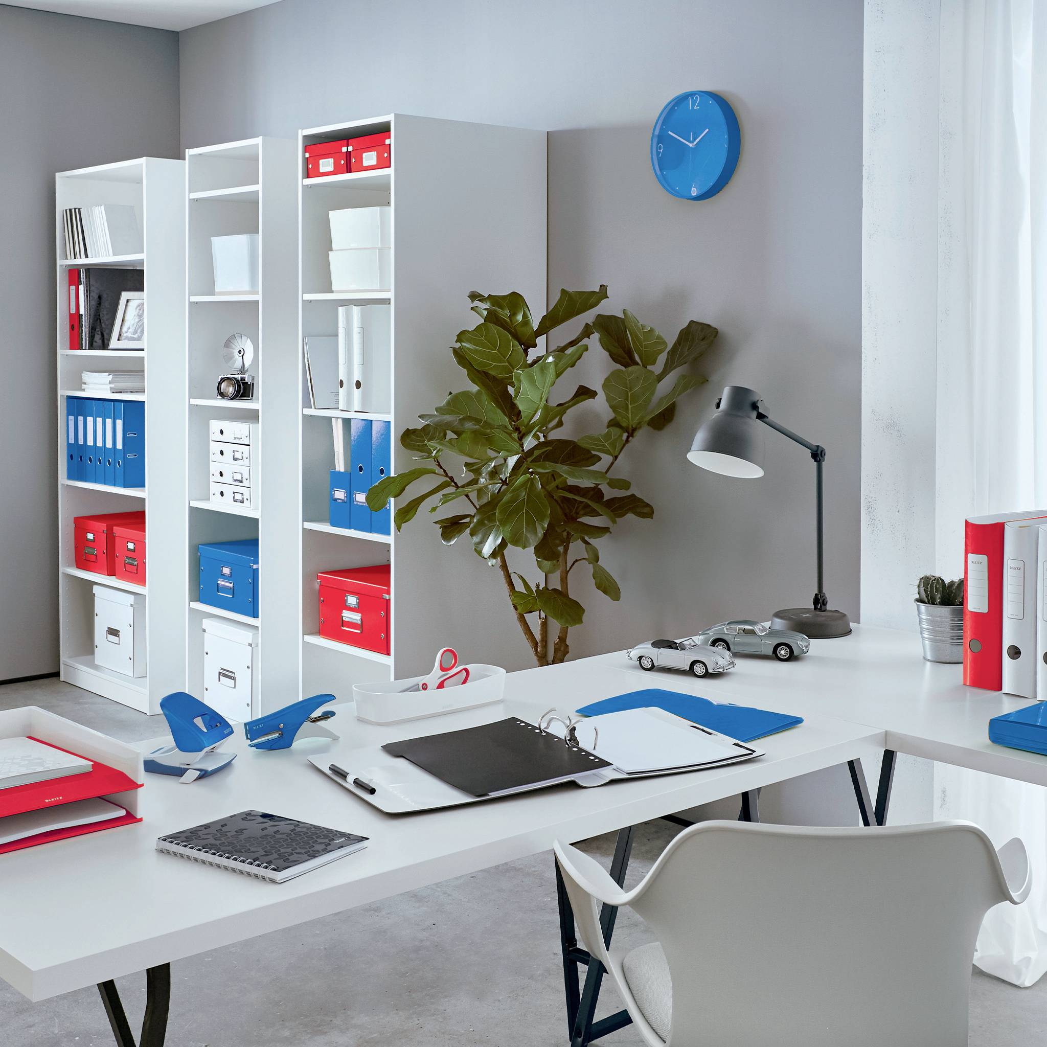 Ein modernes Büro mit weißen Regalen voller Ordner in verschiedenen Farben, einem Schreibtisch mit Laptop, Pflanzen und Schreibutensilien.