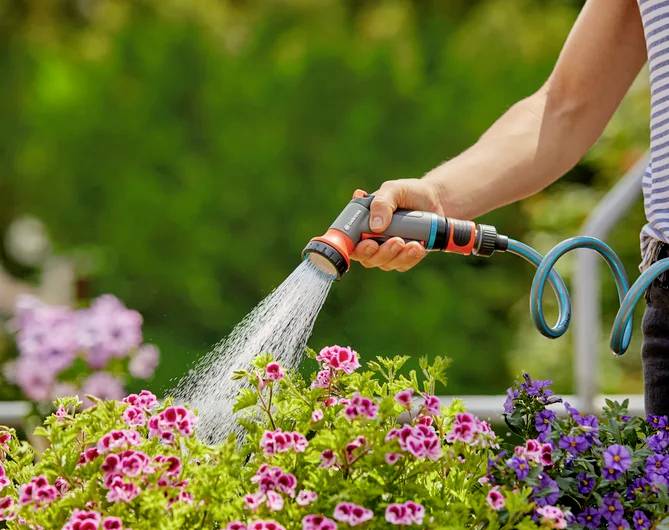 Eine Person gießt bunte Blumen im Garten mit einem Wasserschlauch an einem sonnigen Tag.