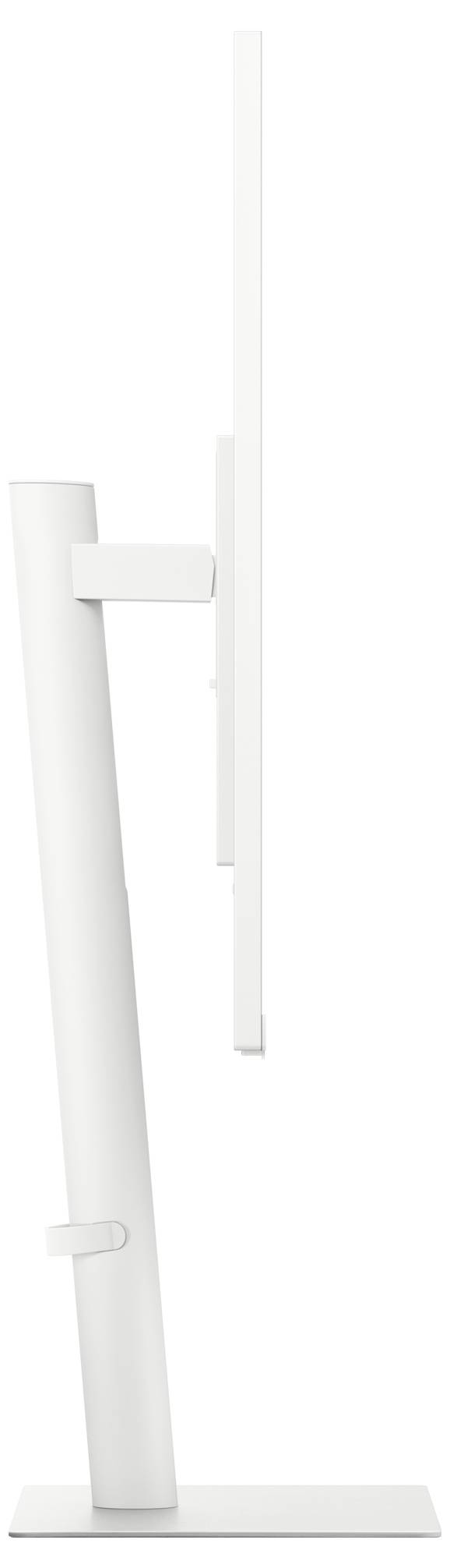 Seitliche Ansicht eines dünnen, weißen Monitors auf einem verstellbaren Standfuß.