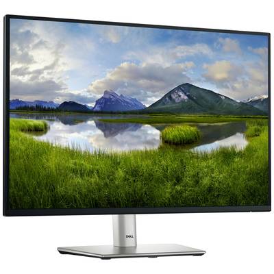 Ein Monitor zeigt eine Landschaft mit einem ruhigen See, grünen Wiesen und Bergen im Hintergrund. Der Himmel ist teils bewölkt.