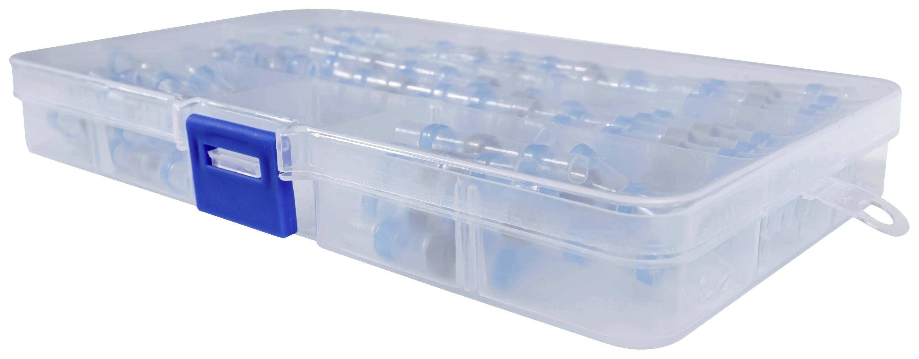 Klare Kunststoffbox mit blauem Verschluss, gefüllt mit sortierten Schrauben und Dübeln, zur übersichtlichen Aufbewahrung von Kleinteilen.