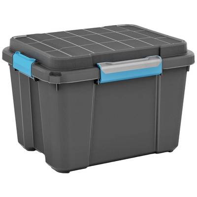Geräumige, rechteckige Aufbewahrungsbox aus grauem Kunststoff mit blauem Verschluss, ideal für die Organisation und Lagerung von Gegenständen.