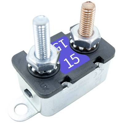 Ein elektrischer Leistungsschalter mit zwei unterschiedlich gefärbten Anschlüssen, einem schwarzen Gehäuse und der Aufschrift 'GT 15'.
