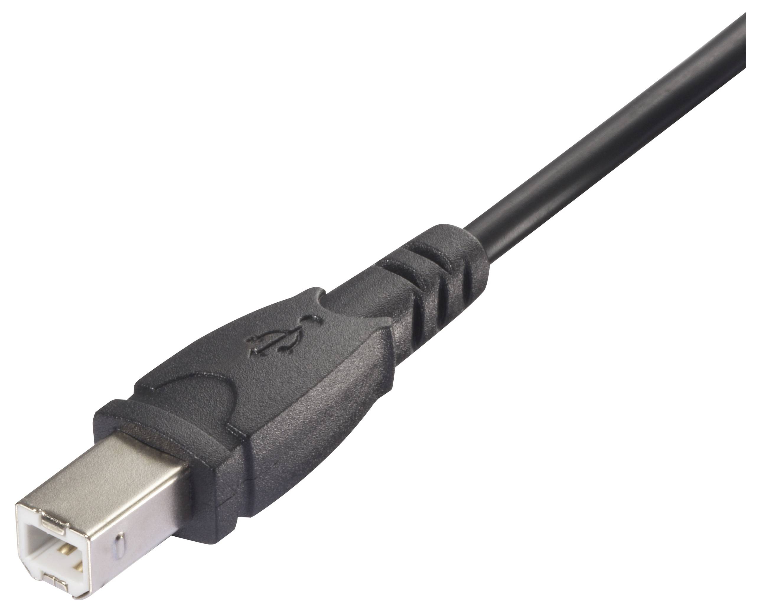 'Nahaufnahme eines quadratischen USB-Kabelsteckers mit schwarzem Kabel, oft für Drucker und Scanner verwendet.'