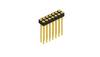 Fischer Elektronik Buchsenleiste (Präzision) Anzahl Reihen: 2 10041612 10 St.