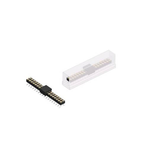 Fischer Elektronik Buchsenleiste (Präzision) Anzahl Reihen: 2 10042662 10 St.
