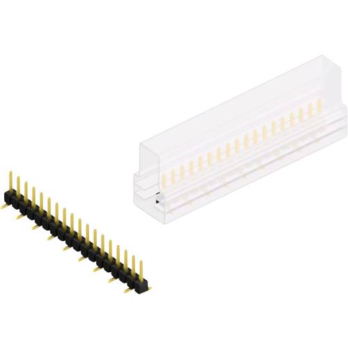 Fischer Elektronik Stiftleiste (Standard) Anzahl Reihen: 1 10047251 10 St.