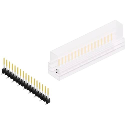 Fischer Elektronik Stiftleiste (Standard) Anzahl Reihen: 1 10047642 10 St.
