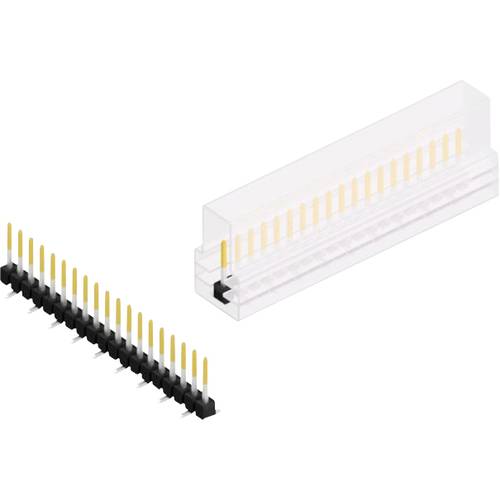 Fischer Elektronik Stiftleiste (Standard) Anzahl Reihen: 1 10047662 10 St.