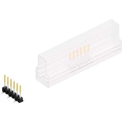 Fischer Elektronik Stiftleiste (Standard) Anzahl Reihen: 1 10047516 10 St.