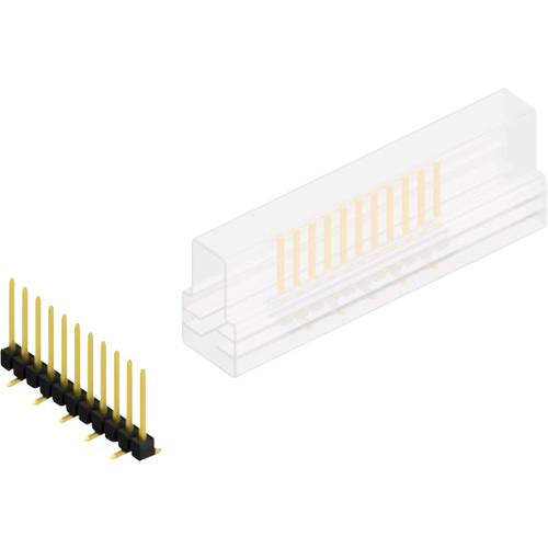 Fischer Elektronik Stiftleiste (Standard) Anzahl Reihen: 1 10047756 10 St.