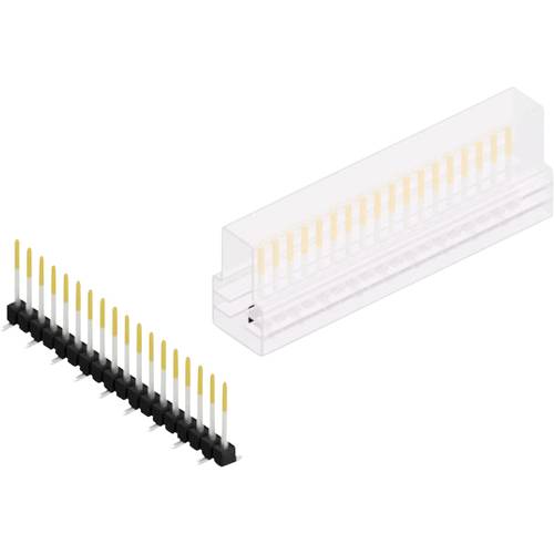 Thumbnail - Fischer Elektronik Stiftleiste (Standard) Anzahl Reihen: 1 10047825 10 St.