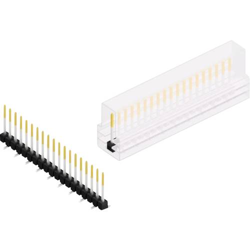 Fischer Elektronik Stiftleiste (Standard) Anzahl Reihen: 1 10047835 10 St.