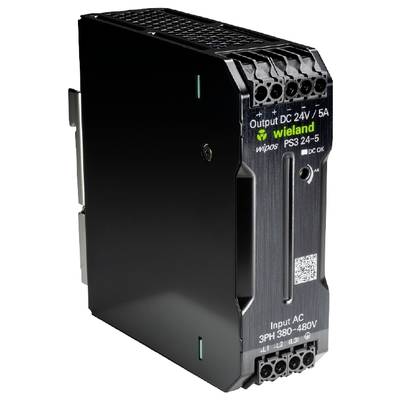 Das Bild zeigt ein elektrisches Netzteilmodell mit der Aufschrift 'Output DC 24V / 5A'. Hersteller ist Wieland Electric.