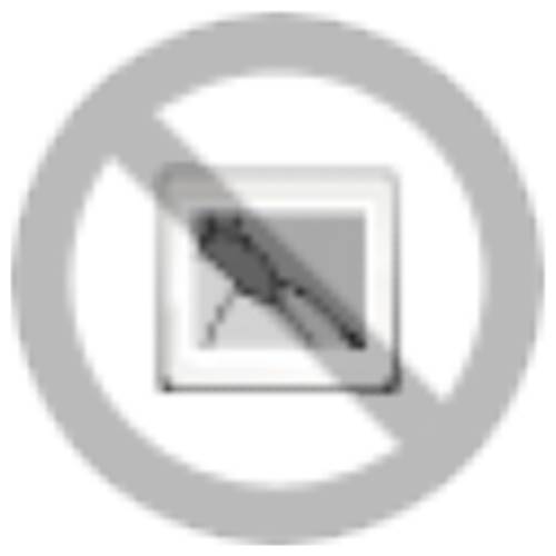 Wieland Electric 41.031.4051.8 Geräteanschluss