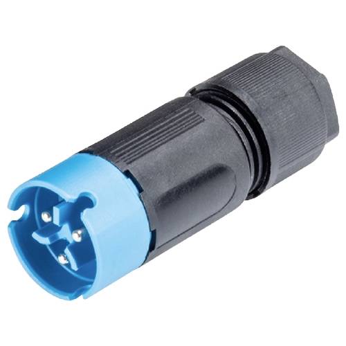 Wieland Electric 41.032.3043.9 Steckverbinder