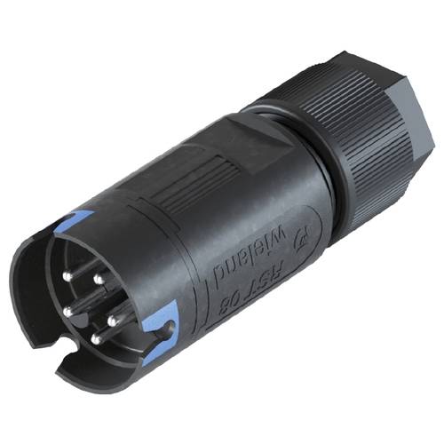 Wieland Electric 41.052.3043.9 Steckverbinder